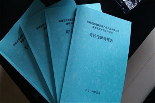 項目建議書